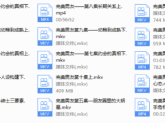 完美男友VIP会员——梵公子
