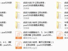 实战全案课程(配讲解)
