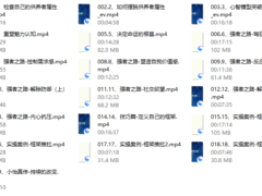 小怡《供养者翻盘—强者框架课》
