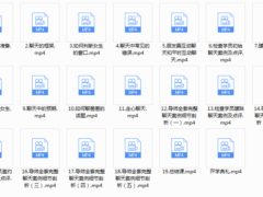 小鲸恋爱班《女神解码》