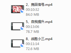 序号5-爱情4部曲丨挽回