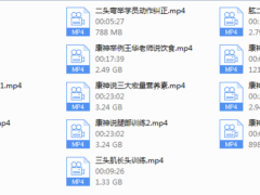 康神说生长激素和胰岛素.mp4等多个文件