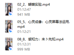 心灵成像第二期