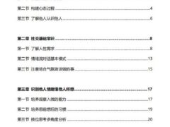 情绪流实战（电子版）