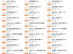 成真《高手支招》