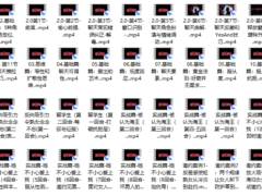搭讪大师 良叔《偷心聊法Plus》