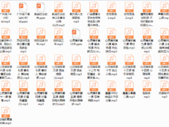 摸鱼情感《凯威私教》