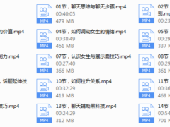 脱单大师-无极神聊术2.0