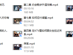 旭旭《春节十天脱单攻略》