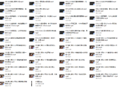 昊哥《进化蓝图训练营》