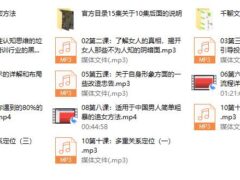 本渡情感《新私教》