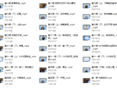 朱丽安《pimp》皮条客中文版