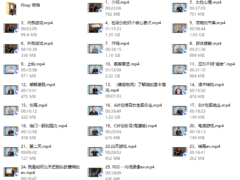 朱利安《PIMP》皮条客中文版《最新完整版》