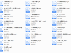 朱利安pimp中文翻译