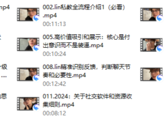 林老头2024私教课（新版）
