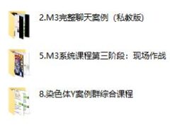 染色体 黑猫《终身制M3系统私教内部课程》
