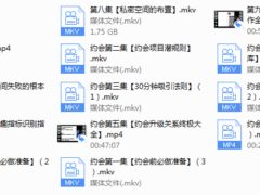 梵公子《约会加速器》