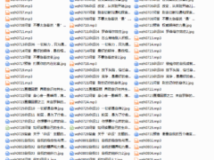 武志红的心理学课