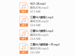 毒辣NLP