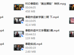 泰勒热座第二期