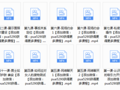 泰阳《极致·把妹1.0》