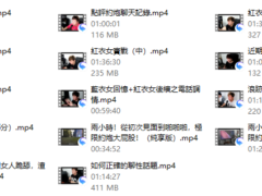 浪迹《实战聊天回访视频》