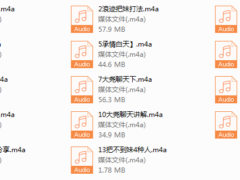 浪迹最新蓉城计划完整线下录音