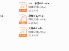 浪迹蓉城计划完整线下录音