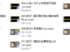 熊猫2024年新课3.0《高手法则》