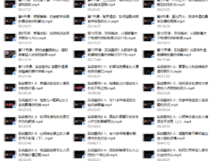 燃约会【1.0理论篇13集+实战篇20集】（超清版）