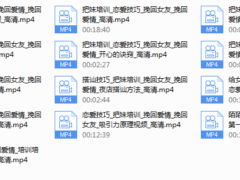 爱情体系挽回学院