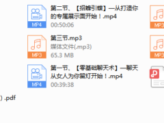 爱情光谱《90天菁英蜕变》