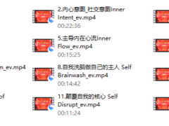瑞恩《引燃雄心》