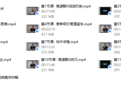 瑞恩《竞速聊Xplus》
