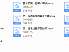瑞恩情感法则