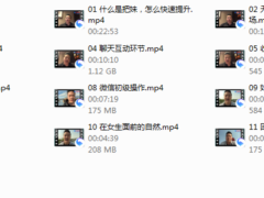 瑞恩Starter