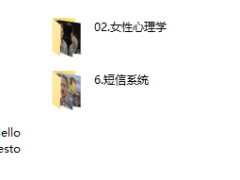 瓦伦蒂诺 隐型游戏