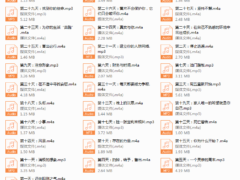 男子气概31天