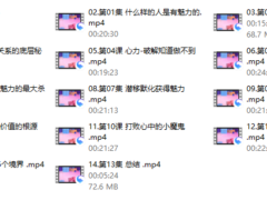 白鸭《核心魅力炼成-训练课》