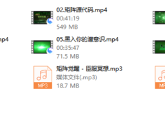 真爱之门《矩阵觉醒》