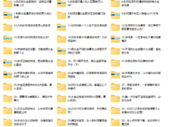 素云第十七期 脱单进阶班VIP