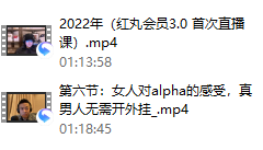 红丸会员3.0plus