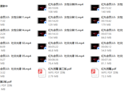 红丸会员3.0Plus（更新中）