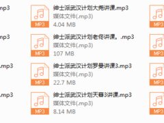 绅士派《武汉计划3天2夜》