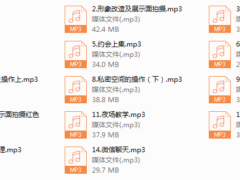 绅士派《老佟私教2.0》