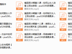 网恋情圣19期
