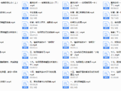 老吴《中级情感私教》