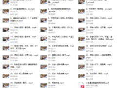 老白《约会达人》