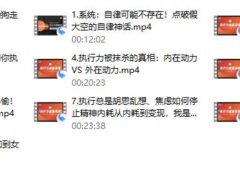 莱特《执行力能量系统》无尽的执行和自律能量