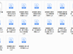 蓝色答案《微信撩妹6.0》